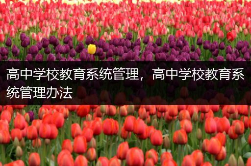 高中学校教育系统管理，高中学校教育系统管理办法