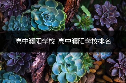 高中濮阳学校_高中濮阳学校排名
