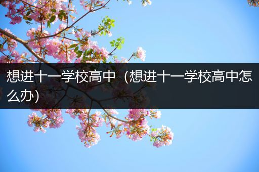 想进十一学校高中（想进十一学校高中怎么办）