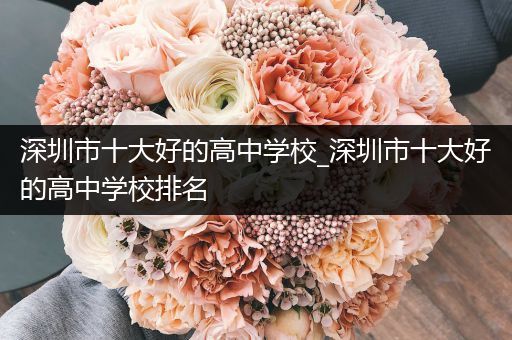 深圳市十大好的高中学校_深圳市十大好的高中学校排名