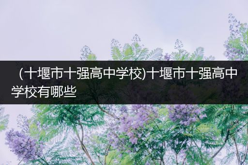 （十堰市十强高中学校)十堰市十强高中学校有哪些