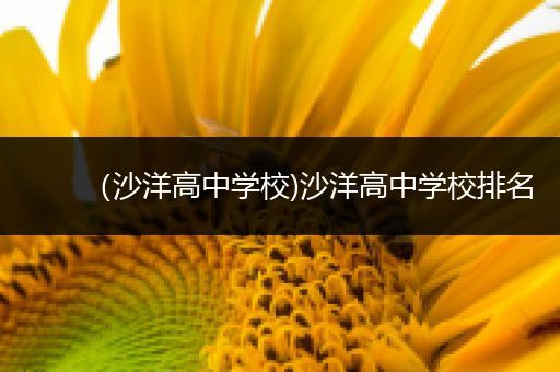 （沙洋高中学校)沙洋高中学校排名