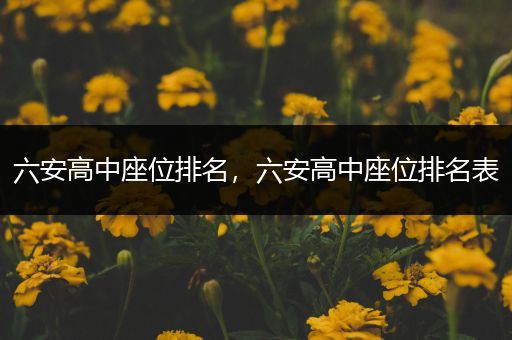 六安高中座位排名，六安高中座位排名表