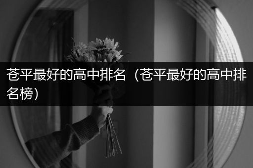 苍平最好的高中排名（苍平最好的高中排名榜）