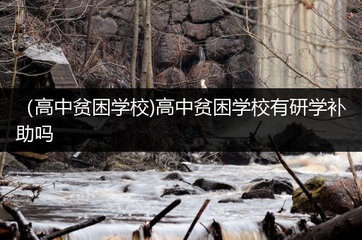 （高中贫困学校)高中贫困学校有研学补助吗