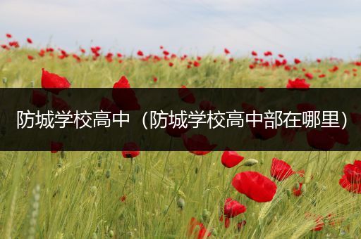 防城学校高中（防城学校高中部在哪里）