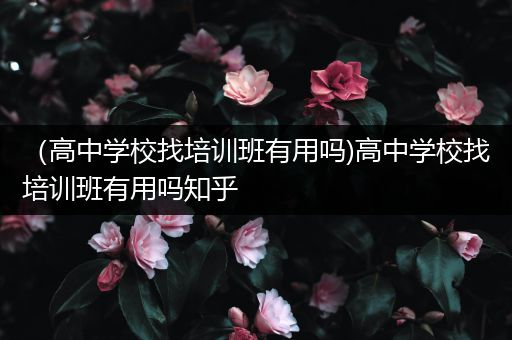 （高中学校找培训班有用吗)高中学校找培训班有用吗知乎