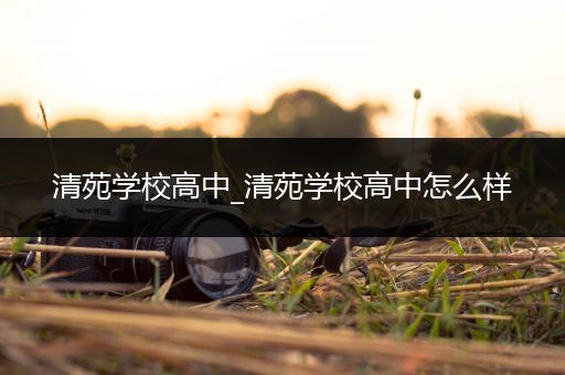 清苑学校高中_清苑学校高中怎么样
