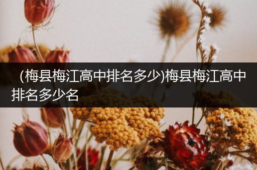 （梅县梅江高中排名多少)梅县梅江高中排名多少名