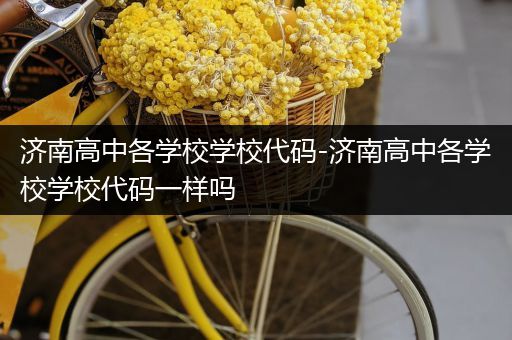 济南高中各学校学校代码-济南高中各学校学校代码一样吗