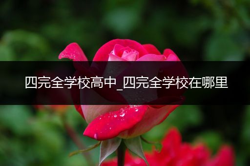 四完全学校高中_四完全学校在哪里
