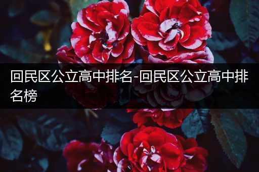 回民区公立高中排名-回民区公立高中排名榜
