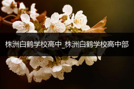 株洲白鹤学校高中_株洲白鹤学校高中部