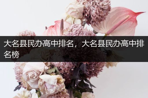 大名县民办高中排名，大名县民办高中排名榜