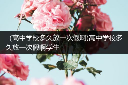 （高中学校多久放一次假啊)高中学校多久放一次假啊学生