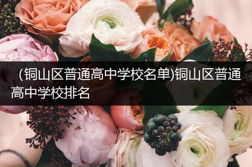 （铜山区普通高中学校名单)铜山区普通高中学校排名