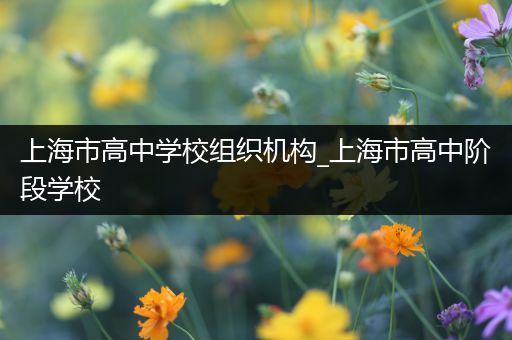 上海市高中学校组织机构_上海市高中阶段学校