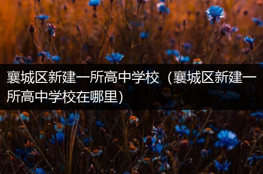 襄城区新建一所高中学校（襄城区新建一所高中学校在哪里）