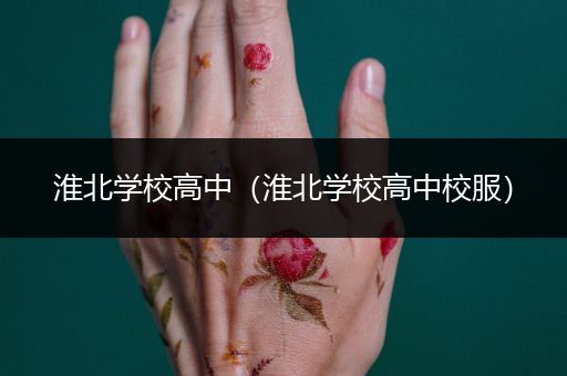 淮北学校高中（淮北学校高中校服）