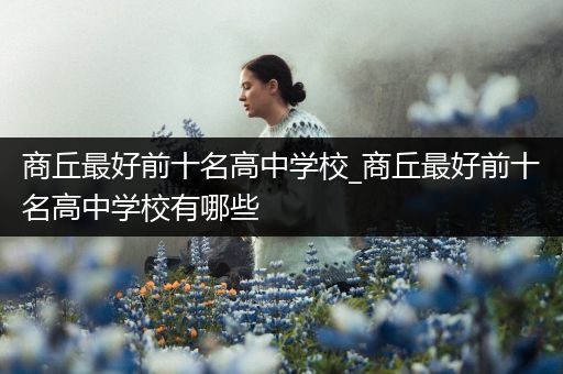 商丘最好前十名高中学校_商丘最好前十名高中学校有哪些