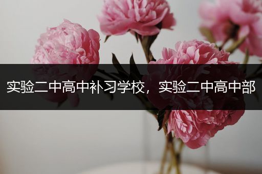 实验二中高中补习学校，实验二中高中部
