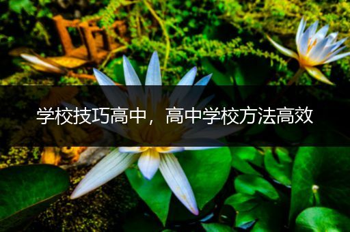 学校技巧高中，高中学校方法高效