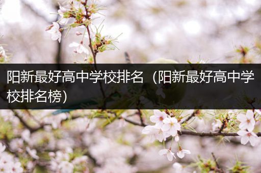 阳新最好高中学校排名（阳新最好高中学校排名榜）