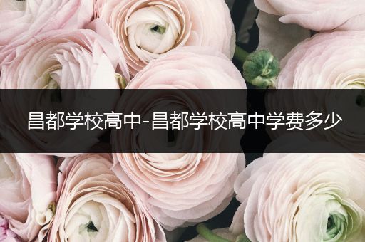昌都学校高中-昌都学校高中学费多少