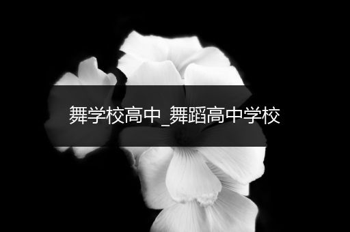 舞学校高中_舞蹈高中学校