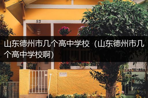 山东德州市几个高中学校（山东德州市几个高中学校啊）