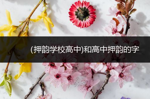 （押韵学校高中)和高中押韵的字