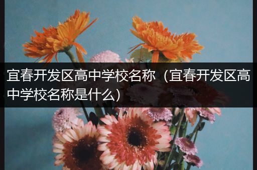 宜春开发区高中学校名称（宜春开发区高中学校名称是什么）