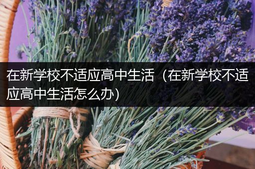 在新学校不适应高中生活（在新学校不适应高中生活怎么办）
