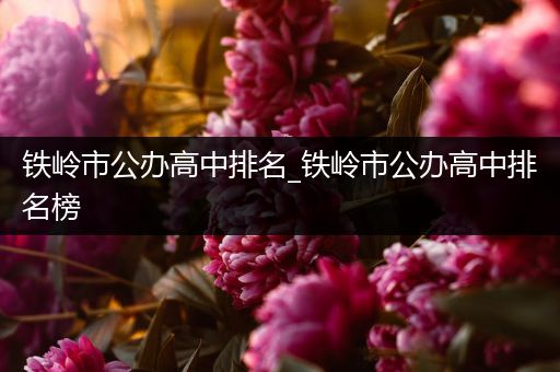 铁岭市公办高中排名_铁岭市公办高中排名榜
