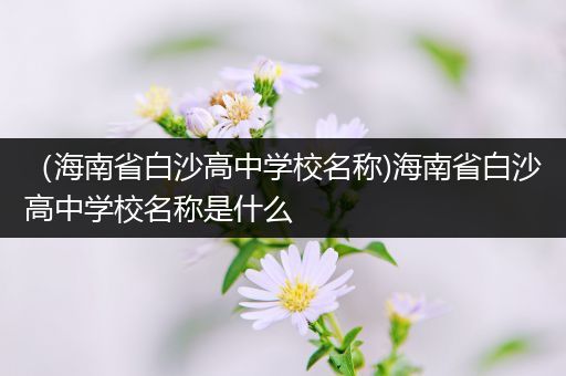 （海南省白沙高中学校名称)海南省白沙高中学校名称是什么