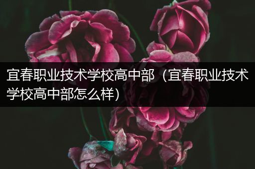 宜春职业技术学校高中部（宜春职业技术学校高中部怎么样）