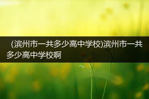 （滨州市一共多少高中学校)滨州市一共多少高中学校啊