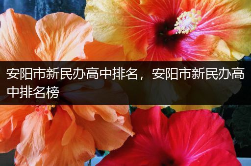 安阳市新民办高中排名，安阳市新民办高中排名榜
