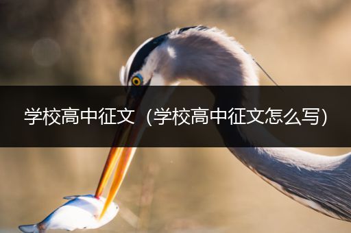 学校高中征文（学校高中征文怎么写）