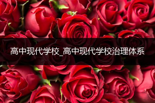 高中现代学校_高中现代学校治理体系