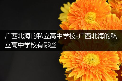广西北海的私立高中学校-广西北海的私立高中学校有哪些