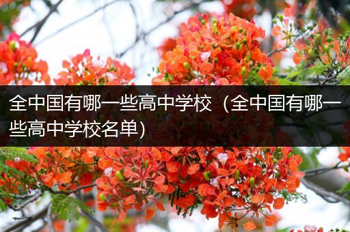 全中国有哪一些高中学校（全中国有哪一些高中学校名单）