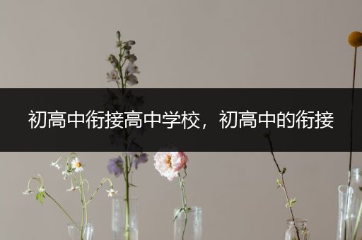 初高中衔接高中学校，初高中的衔接