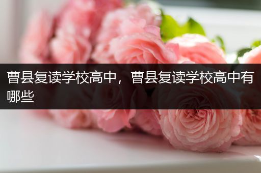 曹县复读学校高中，曹县复读学校高中有哪些