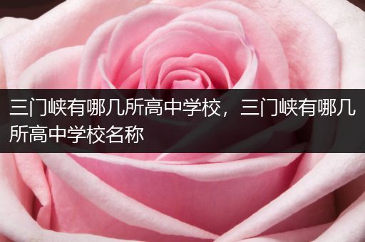 三门峡有哪几所高中学校，三门峡有哪几所高中学校名称