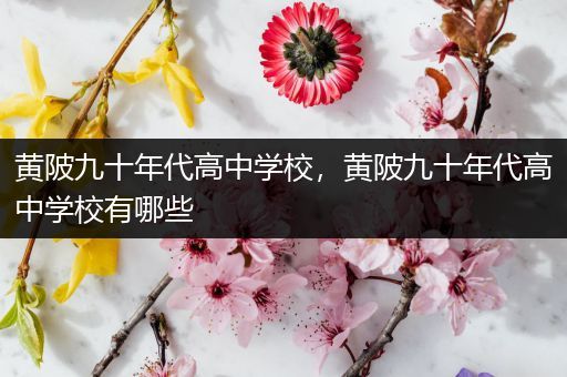 黄陂九十年代高中学校，黄陂九十年代高中学校有哪些