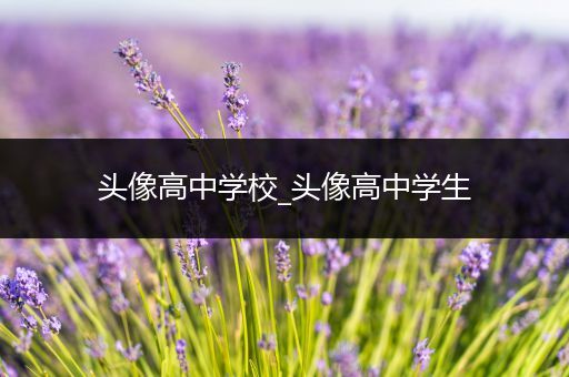 头像高中学校_头像高中学生