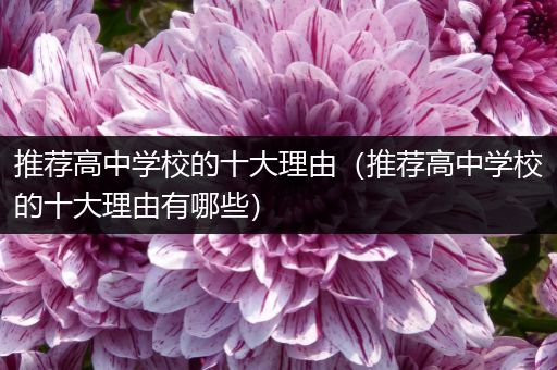 推荐高中学校的十大理由（推荐高中学校的十大理由有哪些）