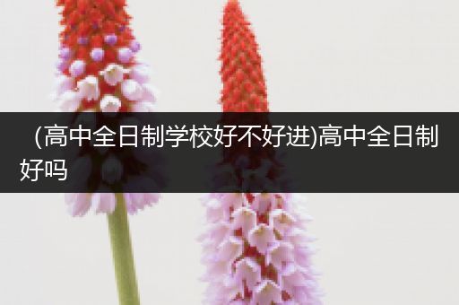 （高中全日制学校好不好进)高中全日制好吗