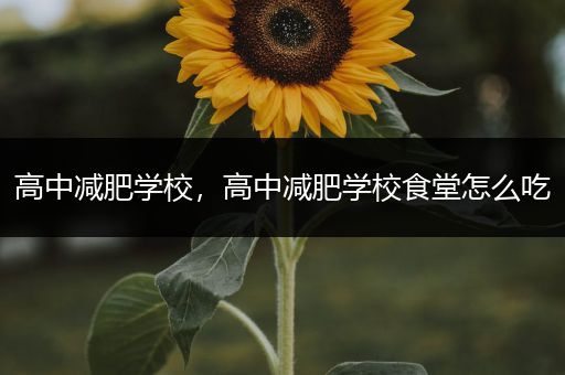 高中减肥学校，高中减肥学校食堂怎么吃